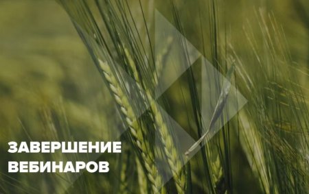 Завершение вебинаров 2025