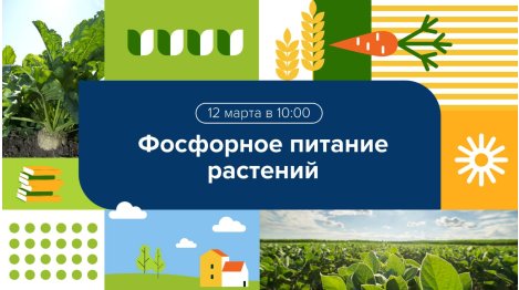 Вебинар "Фосфорное питание растений: вызовы и современные решения"