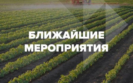 Анонс мероприятий с участием «ЕвроХим» на июнь