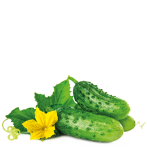 Көкөністер (100–250 кг/га)