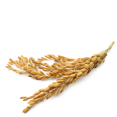 Рис (100-200 кг/га)