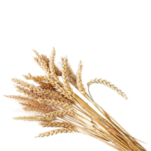 Зерновые (50-250 кг/га)