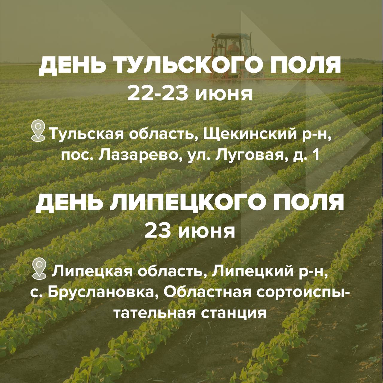 день поля тула