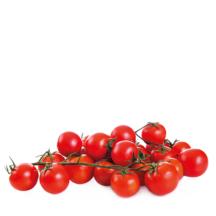 Қызанақ
